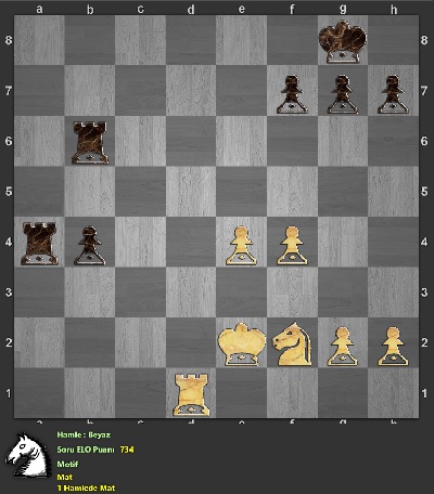 daem chess studio full version